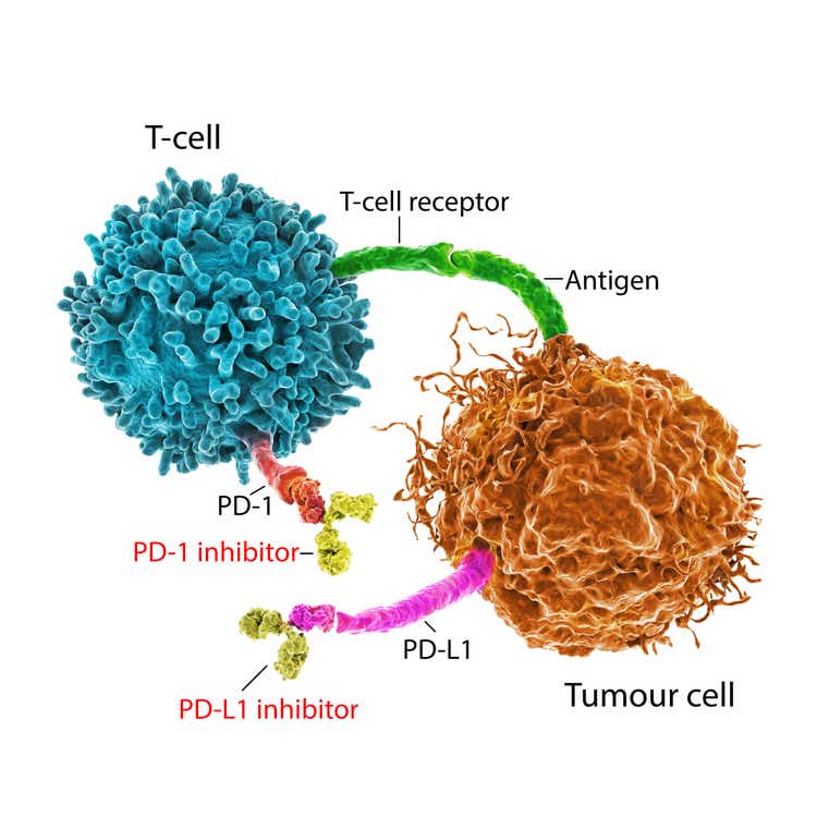 Immune checkpoint inhibitors in cancer treatment