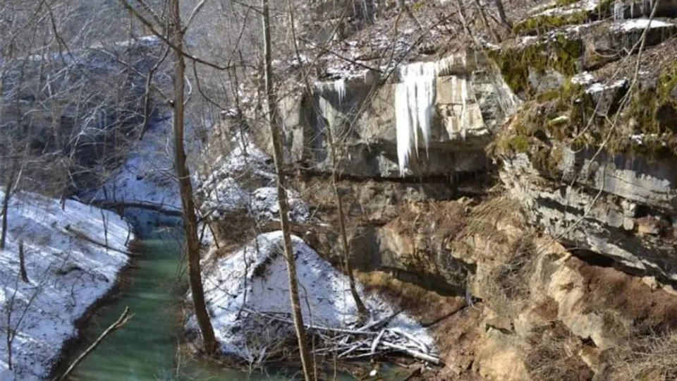 Cedar Sink stream in Mammoth Cave National Park in February 2011 following a snow.