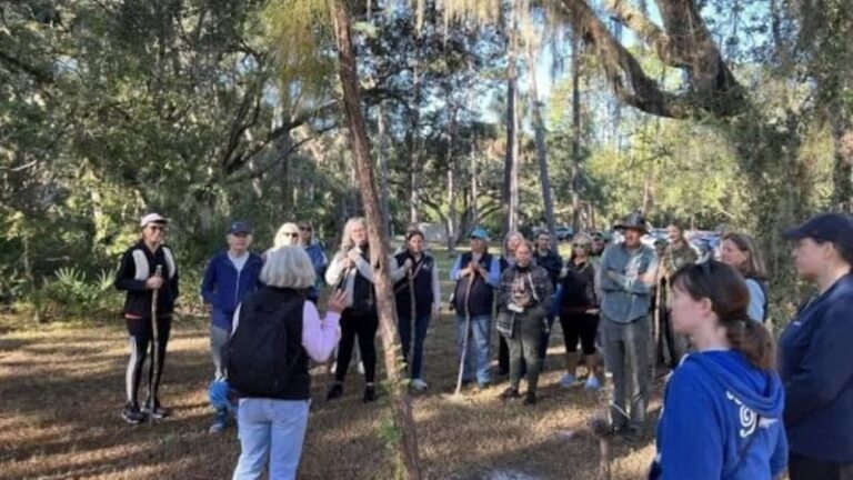 Take to the outdoors on these Hillsborough hiking trails this holiday season