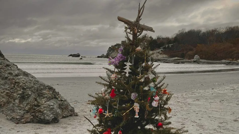 A Christmas tree stands proudly on a chilly Northeast beach, blending festive cheer with coastal calm.Photo by Erica Marsland Huynh on Unsplash