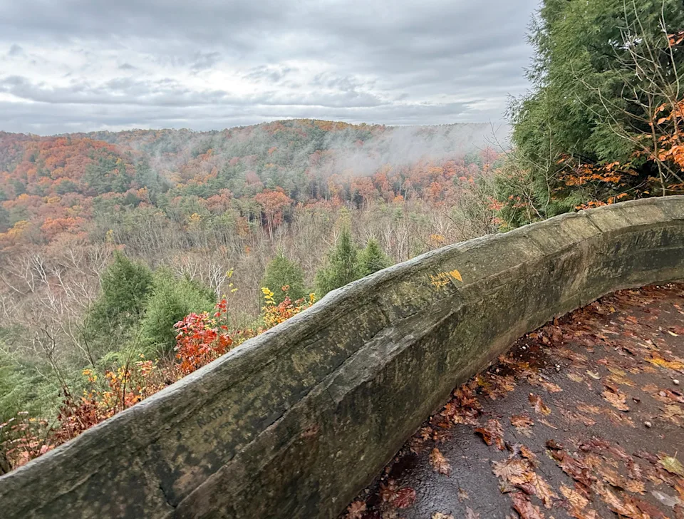 An overlook at Mohican State Park offers a sprawling view of Clearfork Gorge in Ashland County.