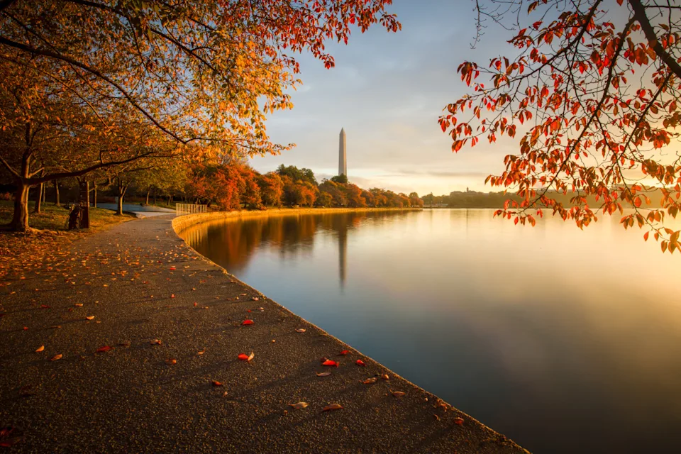 Photo by WLDavies on Getty Images