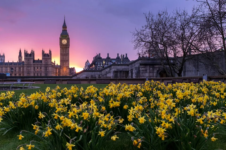 London flowers and buildings, Westminster, London, United Kingdom