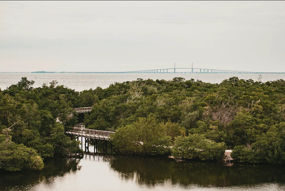 Courtesy of Bradenton Area Tourism Bureau