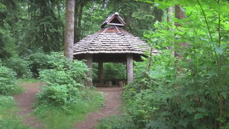Camping & Foraging Training Awaits At A Unique Wilderness College In The Pacific Northwest