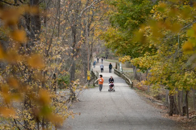 Turkey day usually means lots of food; Here are 5 easy hikes to walk off that Thanksgiving dinner