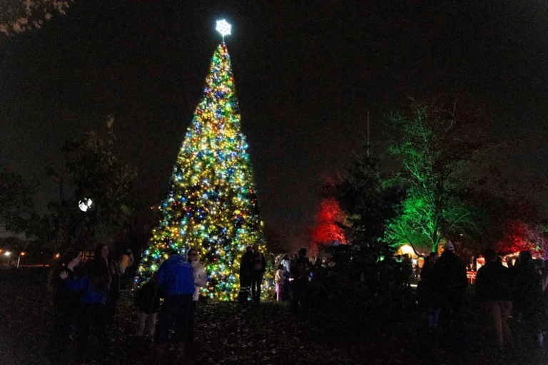 What are the most magical Christmas towns in Louisiana? Visit these 7