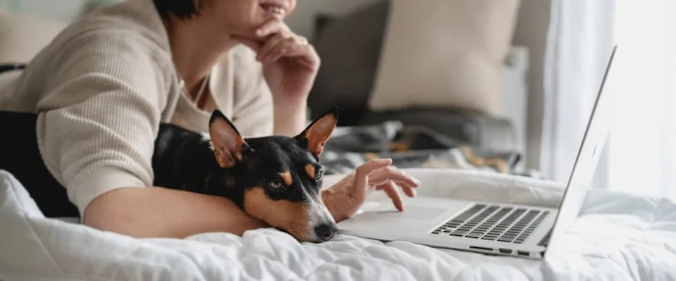 Woman on computer next to her dog at home.