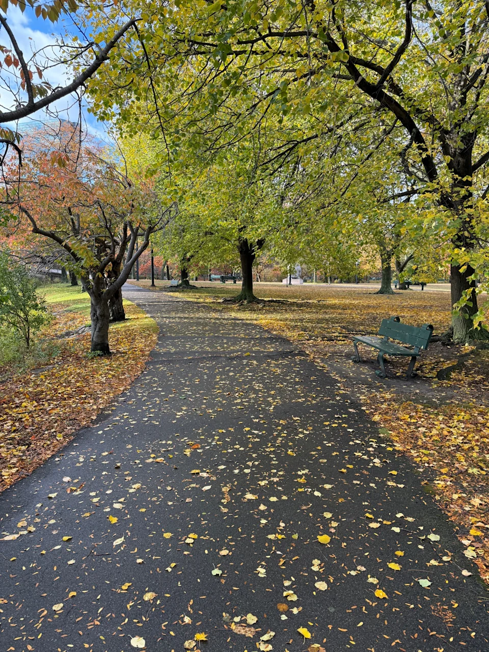 Charles River running