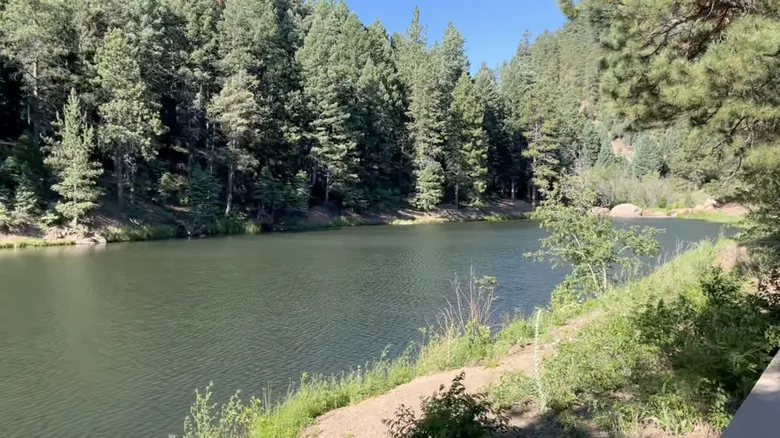 Green trees under blue sky surrounding lake