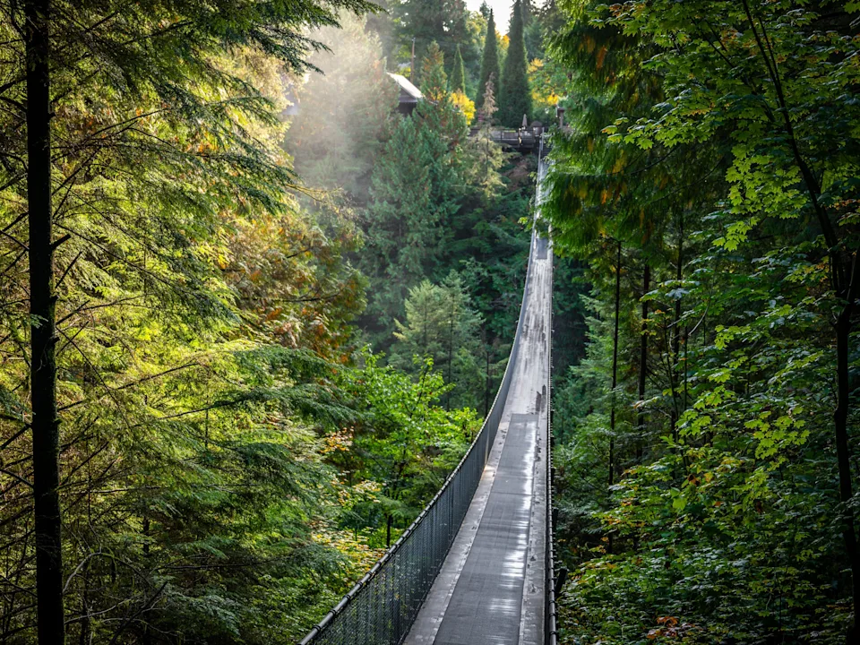 A wide shot of the Capilano Suspension Bridge in Vancouver.