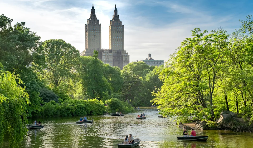 Ariana Grande is obsessed with bird watching—here are the best places to try it