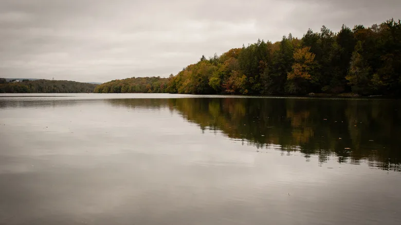 The placid surface of Waymart's Lake Ladore on a cloudy day with trees along the shoreline