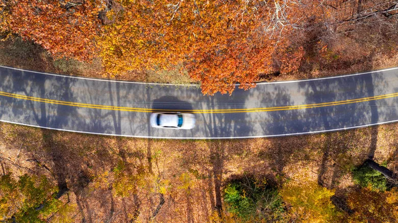 A car zooms along the Blue Ridge Parkway in autumn