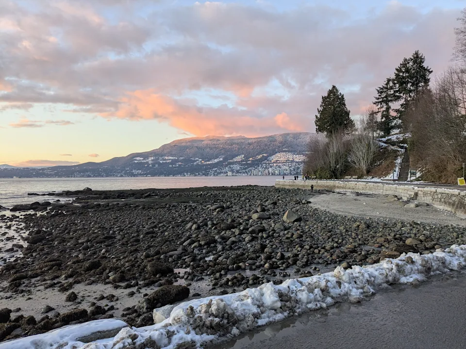 A wide shot of Vancouver's Stanley Park in the winter.