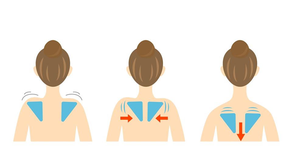 Shoulder retractions vector demo
