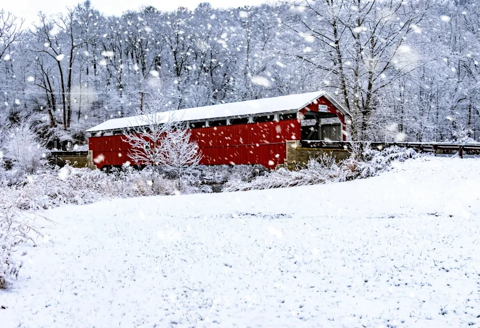 <a href="https://unsplash.com/@cranesp?utm_source=Stockpack&utm_medium=referral&utm_campaign=api-credit" rel="nofollow noopener" target="_blank" data-ylk="slk:Photo by;elm:context_link;itc:0;sec:content-canvas" class="link ">Photo by </a><a href="https://unsplash.com/@cranesp?utm_source=Stockpack&utm_medium=referral&utm_campaign=api-credit" rel="nofollow noopener" target="_blank" data-ylk="slk:Stephen Crane;elm:context_link;itc:0;sec:content-canvas" class="link ">Stephen Crane</a> on <a href="https://unsplash.com/photos/F7PRYe9LK98?utm_source=Stockpack&utm_medium=referral" rel="nofollow noopener" target="_blank" data-ylk="slk:Unsplash;elm:context_link;itc:0;sec:content-canvas" class="link ">Unsplash</a>Photo by Stephen Crane on Unsplash