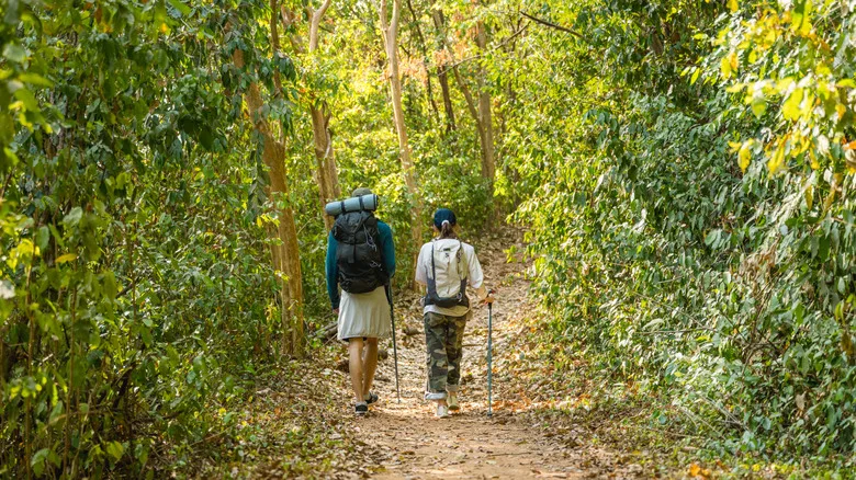Two people hiking in a forest