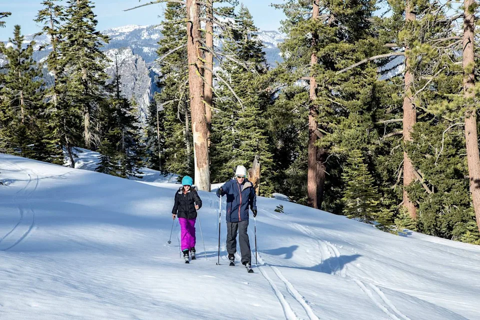 Stephanie Hager / Getty Images