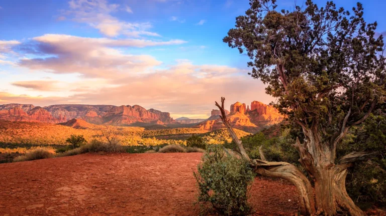 Between Phoenix And Sedona, A Rest Stop Is Famous For Unreal Views And Sparkling Bathrooms
