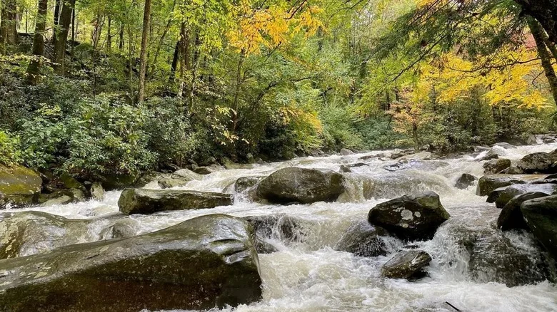 water rolling over rocks