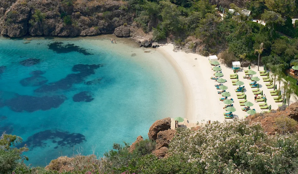 Ariana Grande is obsessed with bird watching—here are the best places to try it