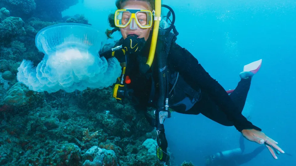 A woman in a black wetsuit is swimming in the ocean and pointing at a jellyfish in the great barrier reef