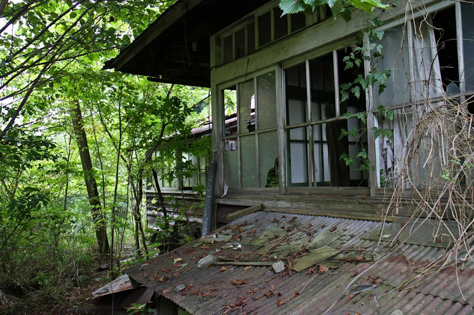 Abandoned wooden house with broken windows and overgrown plants surrounding the structure