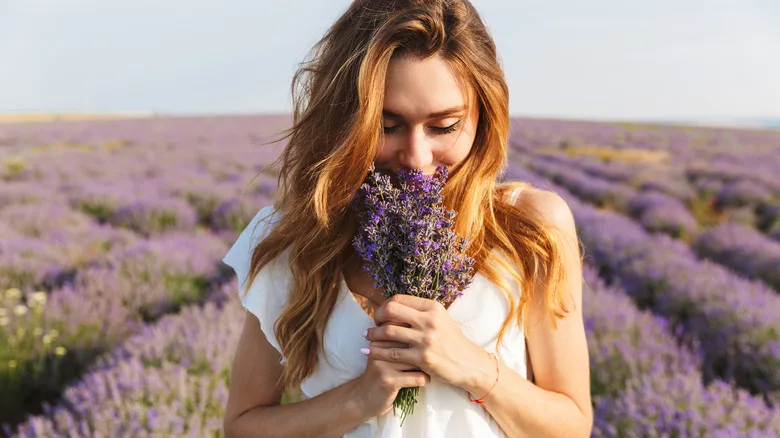 A woman stands in a lavender field holding a bouquet of lavender to her nose
