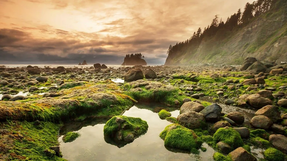 Olympic National Park landscapes