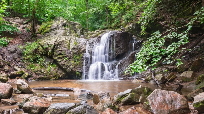 Waterfall cascades in Patapsco Valley State Park