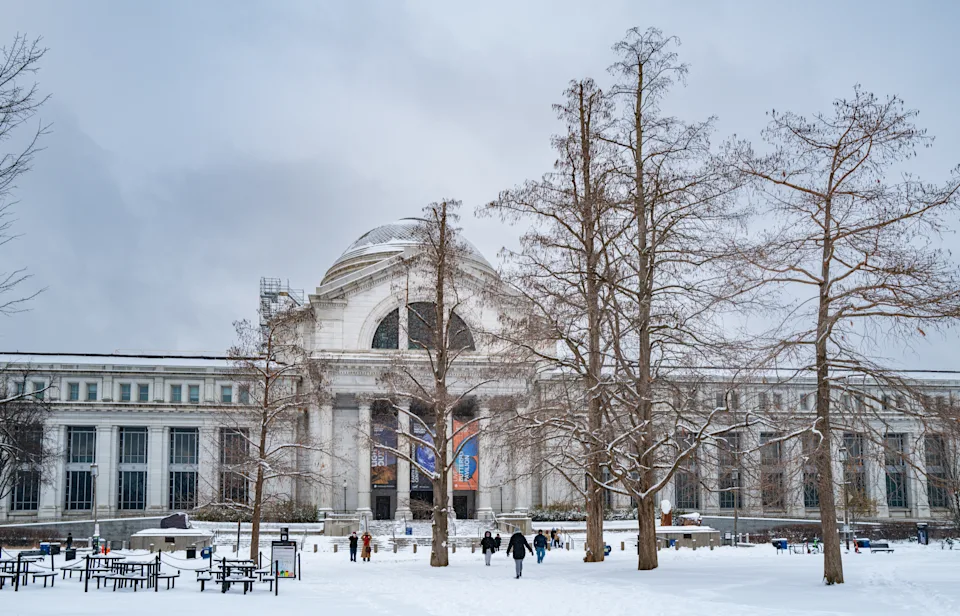 Washington, D.C., U.S.A. - Jan. 6, 2025: Photo of the entrance to the  Smithsonian National Museum of Natural History on a snowy winter day.