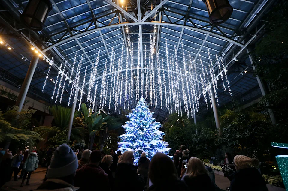 Icicle-like lights are draped from the ceiling of the East Conservatory over a glowing tree in "A Longwood Christmas" at Longwood Gardens.