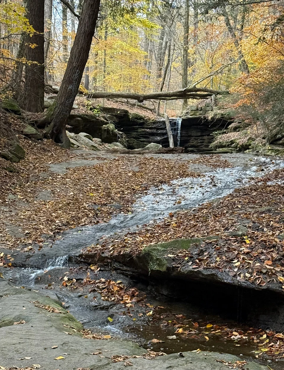 Dundee Falls is a highlight of the Beach City Wildlife Area in Tuscarawas County