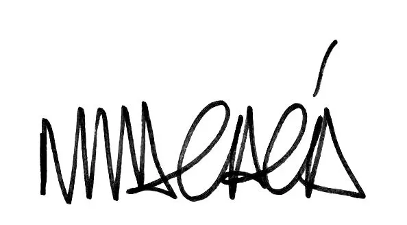 a stylized handwritten signature