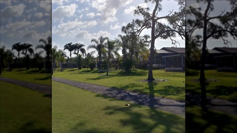 one of the golf courses managed by Rotonda Golf and Country Club in Rotonda West, Florida