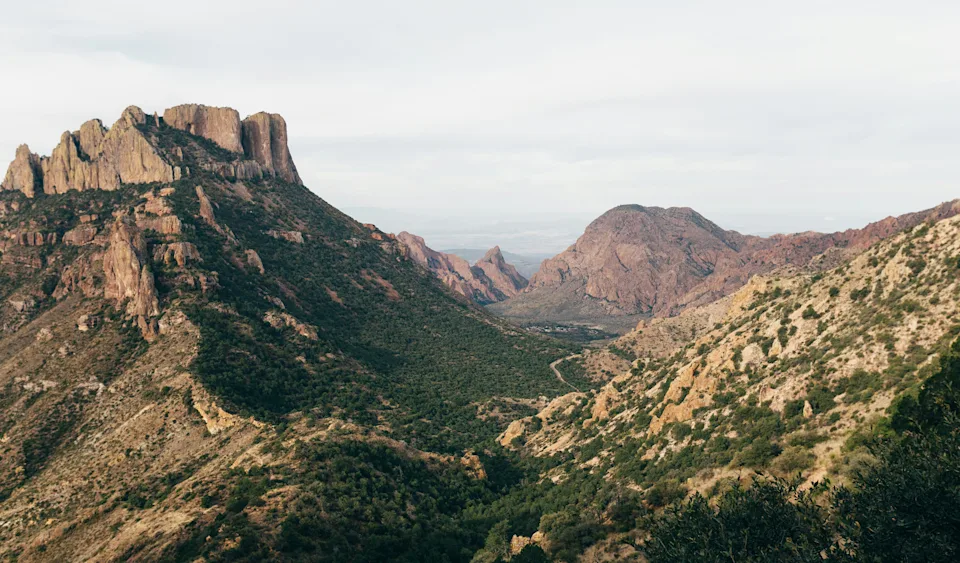 Ariana Grande is obsessed with bird watching—here are the best places to try it