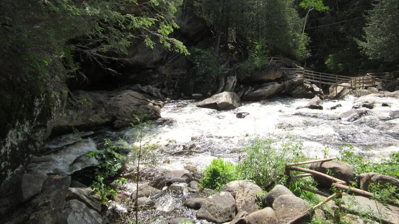View of a stream running through a forest in Pottersville, New York with wooden walkways surrounding the stream during the day