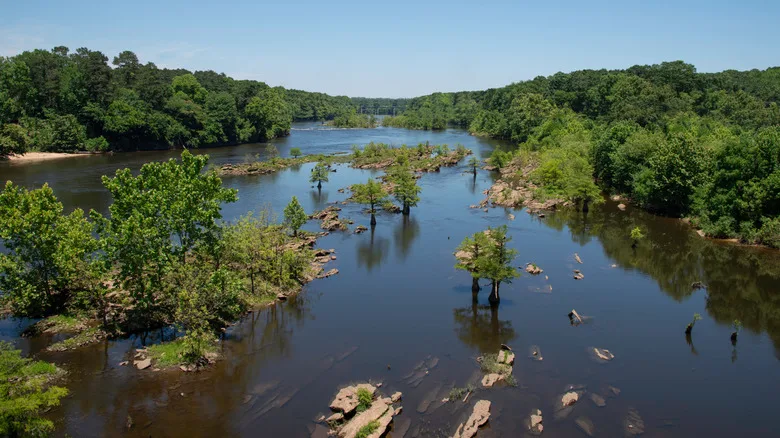 Coosa river passing through trees and other wildlife