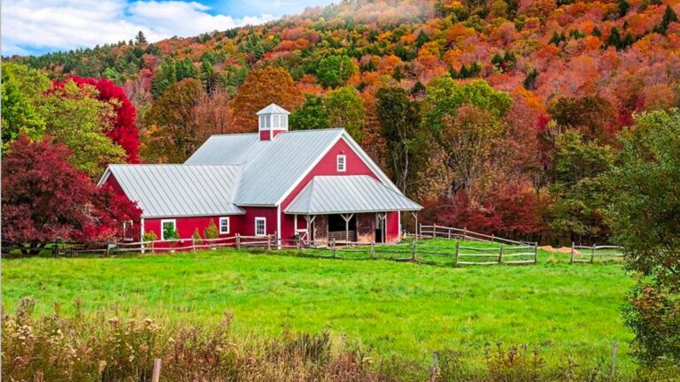 7 Charming Things to Do in Barnard, Vermont for a Peaceful Green Mountains Escape