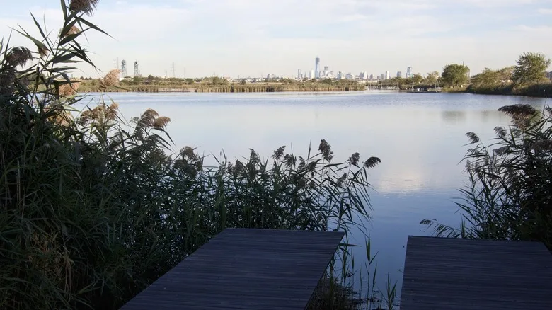 View from the reeds across the water to NYC skyline