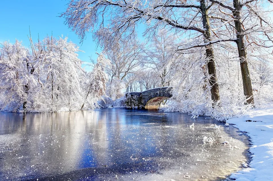 DenisTangneyJr/Getty Images Franklin Park, a partially wooded 527-acre parkland in the Jamaica Plain, Roxbury, and Dorchester neighborhoods of Boston