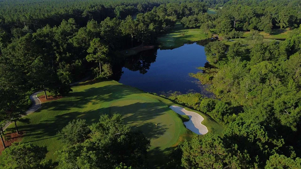 Fallen Oak in Mississippi (Jason Lusk/Golfweek)