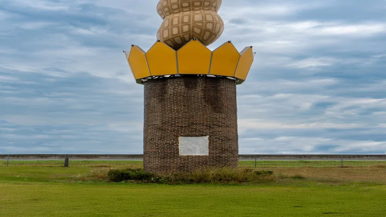 The world's largest peanut in Ashburn, Georgia
