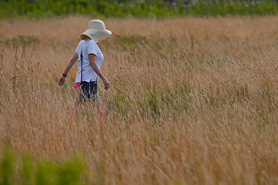 A woman walks through the field at the Mass Adubon's Allens Pond Wildlife Sanctuary in Westport.