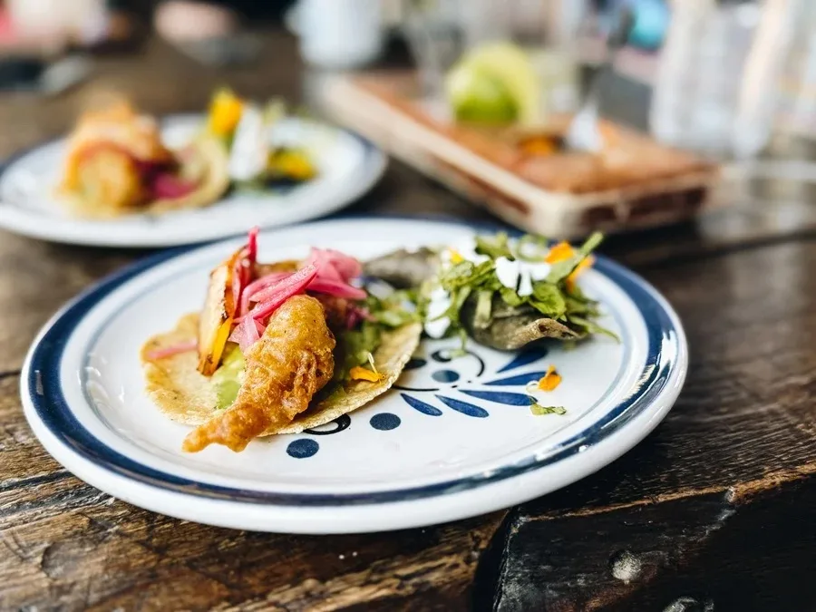 Fish Taco Cabo San Lucas