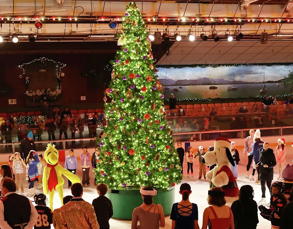 Snoopy's Home Ice rink in Santa Rosa. (Snoopy's Home Ice rink )