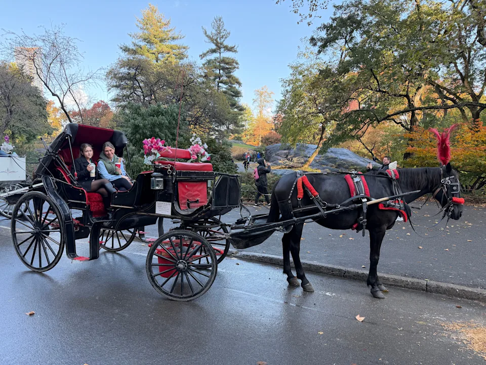 The author and her daughter during a carriage ride through Central Park.