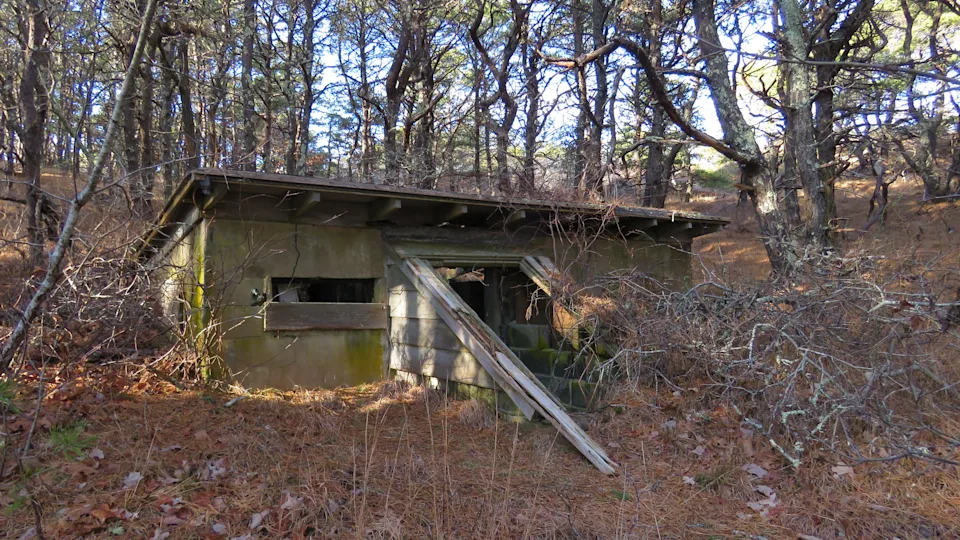 The ruins of an old hunting camp off the Great Island trail in Wellfleet.