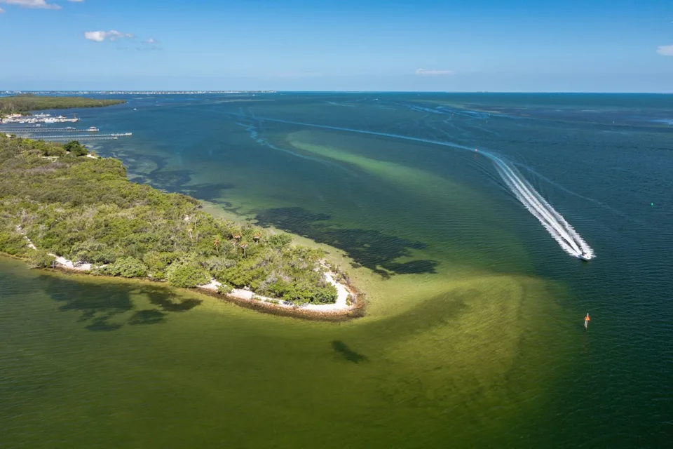 Courtesy of Bradenton Area Tourism Bureau